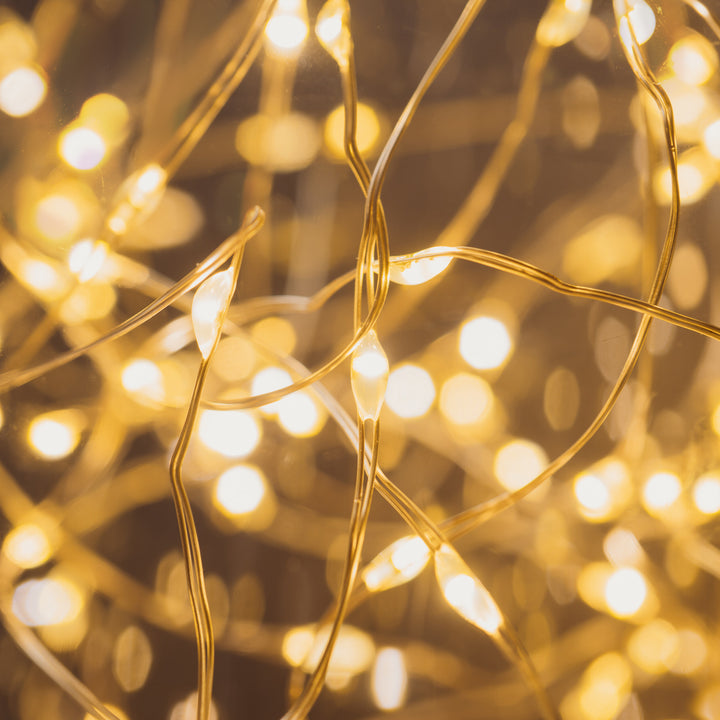 Close-up view of 100 LED Micro Solar Lights